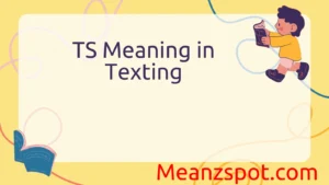 Read more about the article TS Meaning in Texting: What Does It Stand For