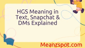 Read more about the article HGS Meaning in Text, Snapchat & DMs Explained