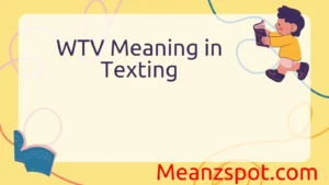 Read more about the article WTV Meaning in Texting: What It Really Stands For