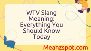 Read more about the article WTV Slang Meaning: Everything You Should Know Today