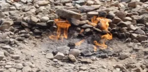 Read more about the article ZBXCX Natural Gas Price Watch LNG Flows and Winter Supply Stress